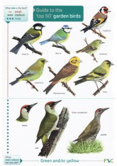 Top 50 Garden Birds (Laminated ID Chart) – Steven Cheshire's British